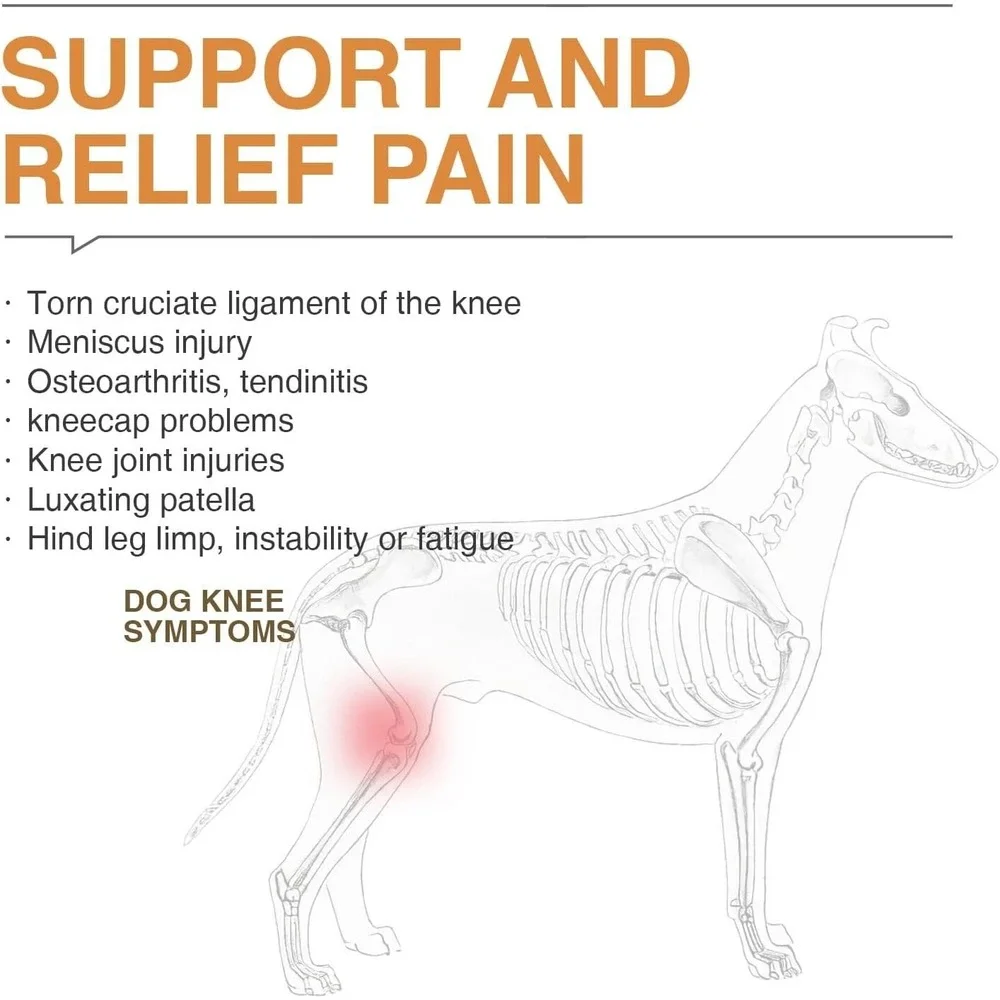 LISPOO Dog Acl Knee Brace‎ Torn Acl Leg Luxating Patella Relieves Joint Pain L
